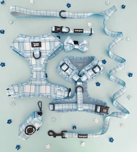 Oxford "Oasis" Adjustable Dog Harness – by Flossie & Floof