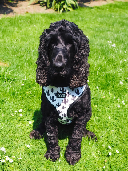 Prickly Paws Adjustable Dog Harness – by Coco Couture