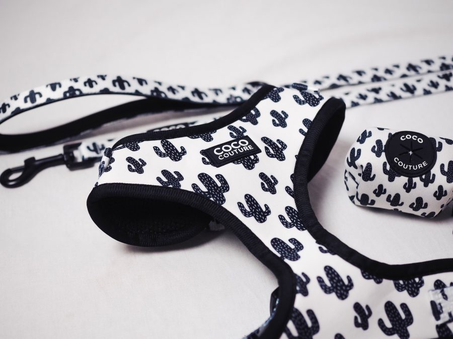 Prickly Paws Adjustable Dog Harness – by Coco Couture