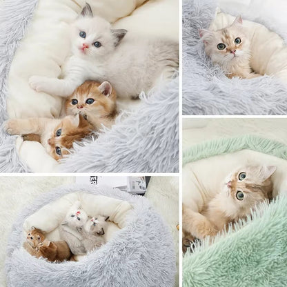 Cozy 2-in-1 Plush Cat Bed