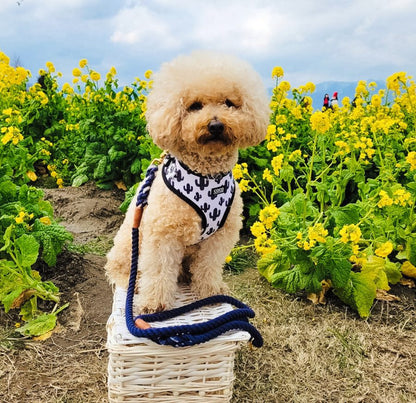 Prickly Paws Adjustable Dog Harness – by Coco Couture