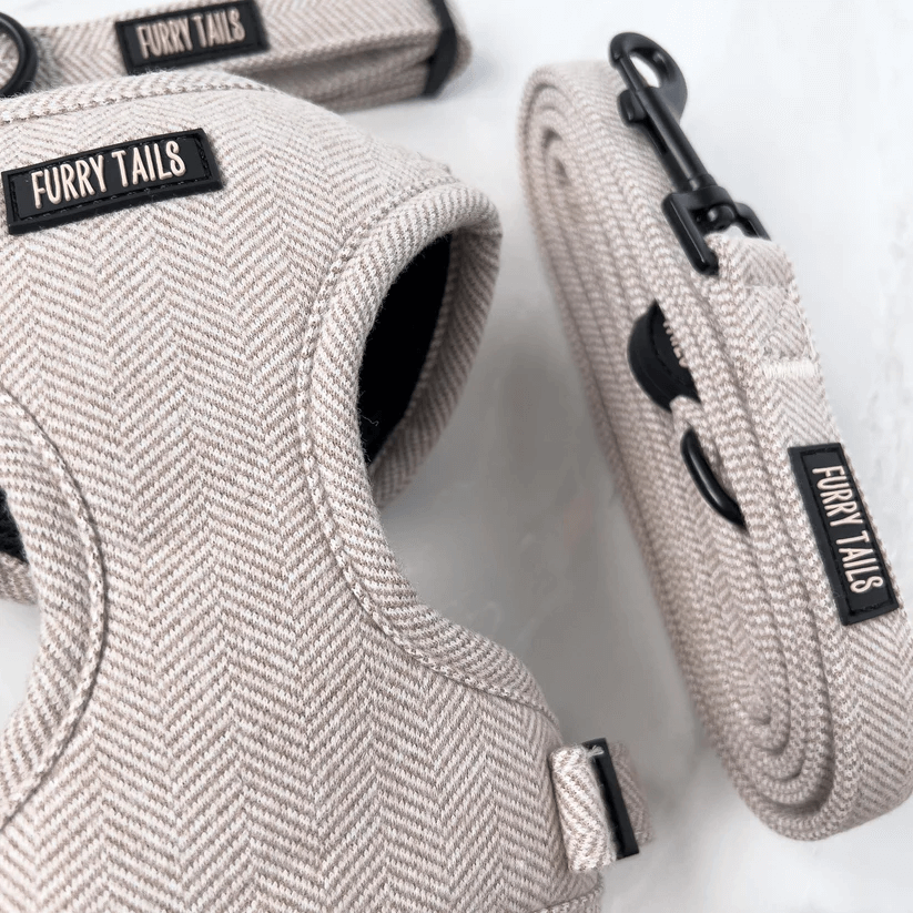 Dog Harness (Full Set) (Coco) – Dog Harness, Dog Collar, Dog Lead, Dog Poo Holder, Dog Bow Tie – by Furry Tails