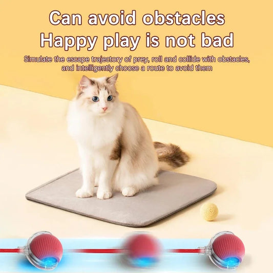 Interactive Toy Cat
