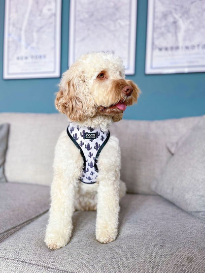 Prickly Paws Adjustable Dog Harness – by Coco Couture