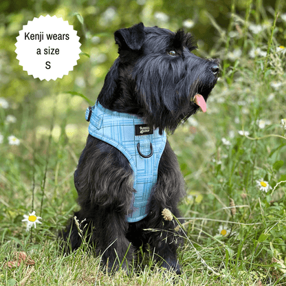Oxford "Oasis" Adjustable Dog Harness – by Flossie & Floof