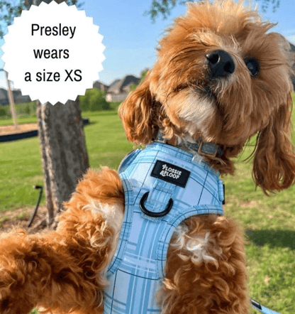 Oxford "Oasis" Adjustable Dog Harness – by Flossie & Floof