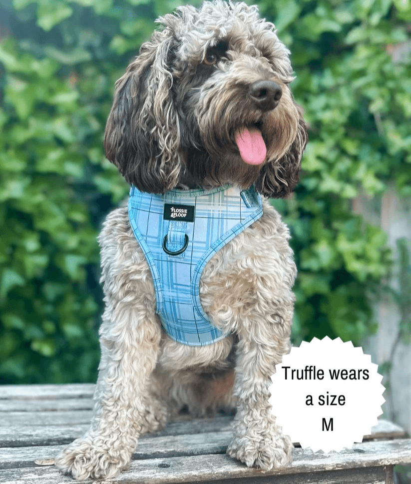 Oxford "Oasis" Adjustable Dog Harness – by Flossie & Floof