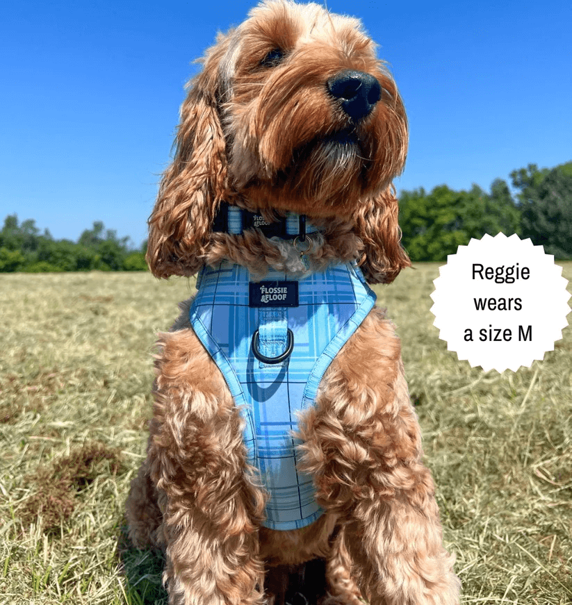 Oxford "Oasis" Adjustable Dog Harness – by Flossie & Floof