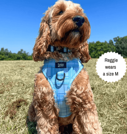 Oxford "Oasis" Adjustable Dog Harness – by Flossie & Floof