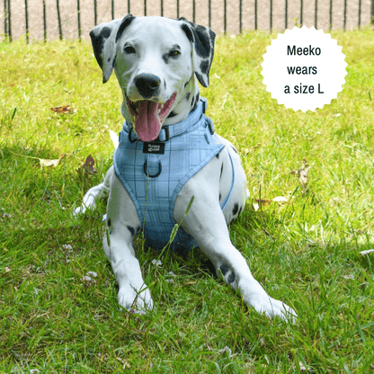 Oxford "Oasis" Adjustable Dog Harness – by Flossie & Floof