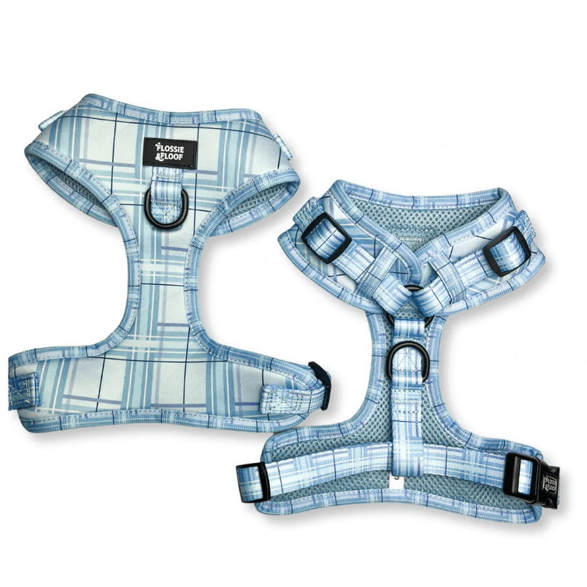Oxford "Oasis" Adjustable Dog Harness – by Flossie & Floof