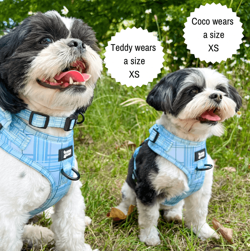 Oxford "Oasis" Adjustable Dog Harness – by Flossie & Floof