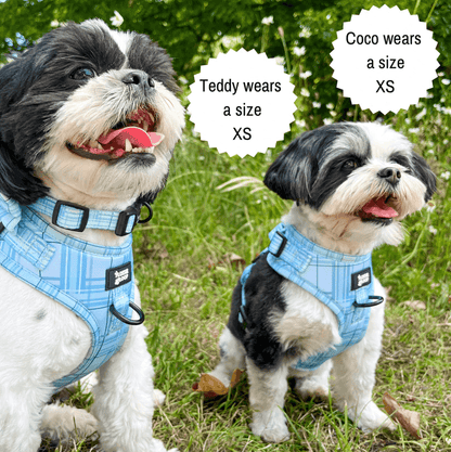Oxford "Oasis" Adjustable Dog Harness – by Flossie & Floof