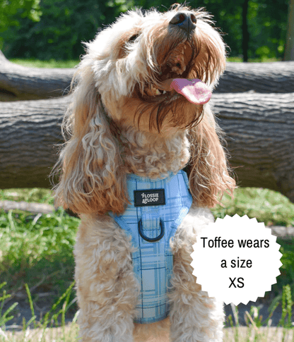 Oxford "Oasis" Adjustable Dog Harness – by Flossie & Floof