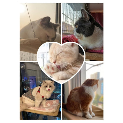 Cat Sunny Seat Window Mount Pet Cat Hammock Comfortable Cat Pet Bed Cute Pet Hanging Beds Bearing 20kg