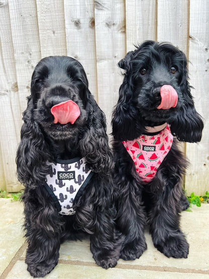 Prickly Paws Adjustable Dog Harness – by Coco Couture